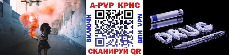 дарк нет телеграм  Россошь  Alpha PVP СК  ссылка на мегу ССЫЛКА 