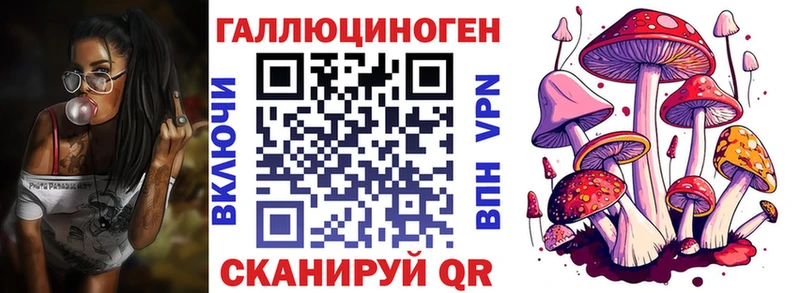 kraken ССЫЛКА  хочу   Россошь  Псилоцибиновые грибы прущие грибы 