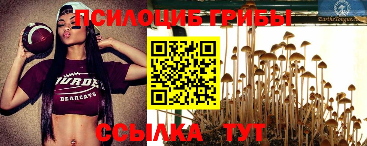 Галлюциногенные грибы MAGIC MUSHROOMS  Вход с VPN  Россошь 